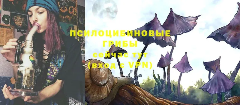 Псилоцибиновые грибы Magic Shrooms  Людиново 